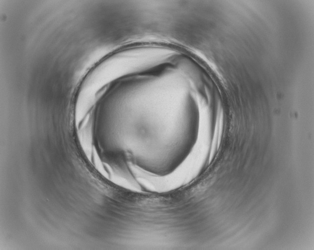 X0000088571367200706151636