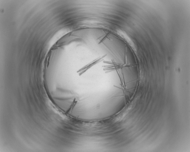 X0000088571386200706151635