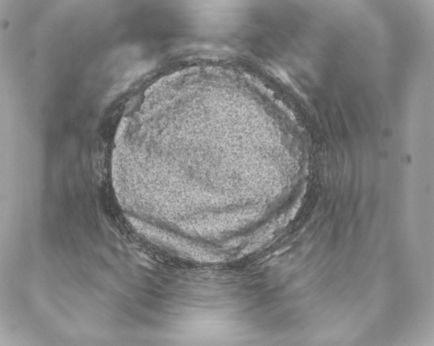 X0000088571399200706151635