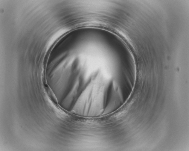 X0000088571418200706151635