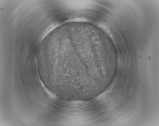X0000088571425200706151635