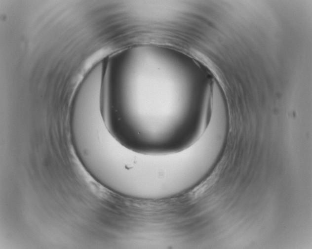 X0000088571434200706151635