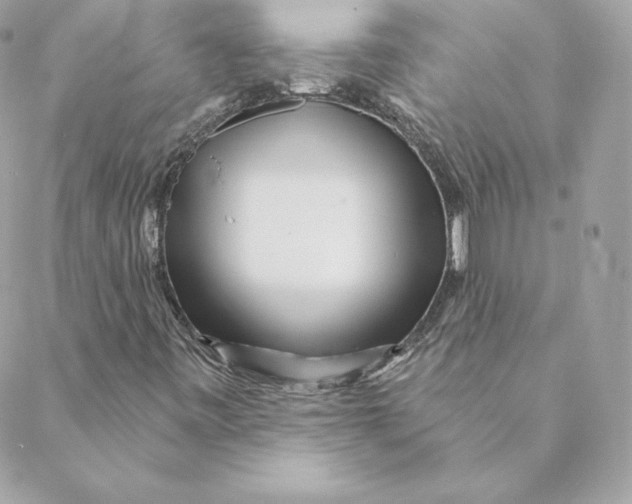 X0000088571443200706151635