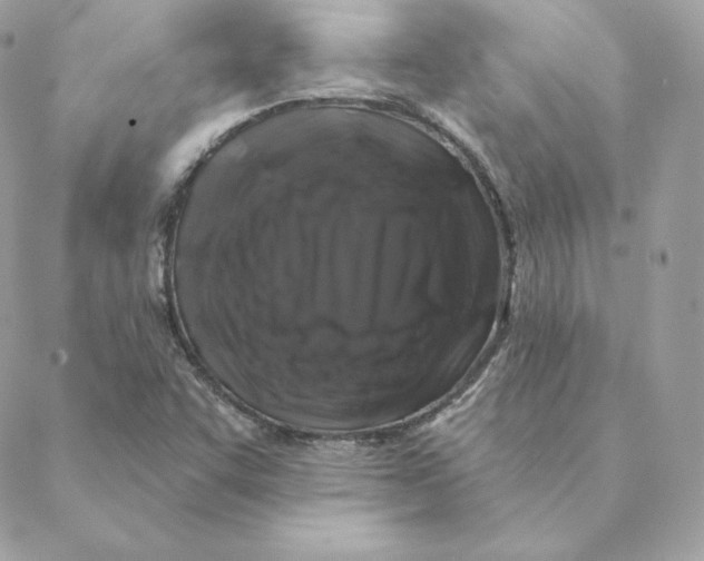 X0000088571455200706151634