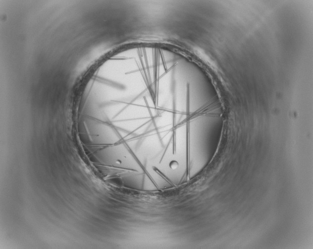 X0000088571456200706151634
