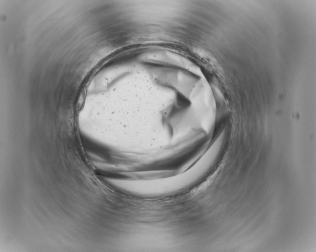 X0000088571457200706151634