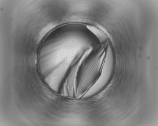 X0000088571461200706151634