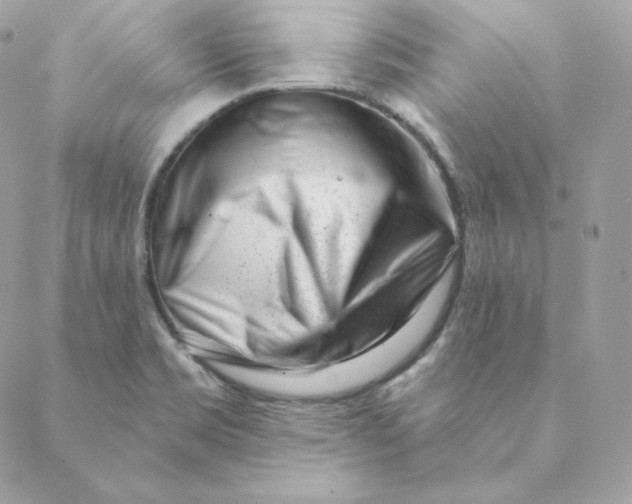 X0000088571469200706151634