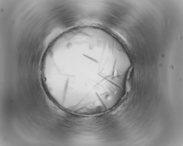 X0000088571471200706151634