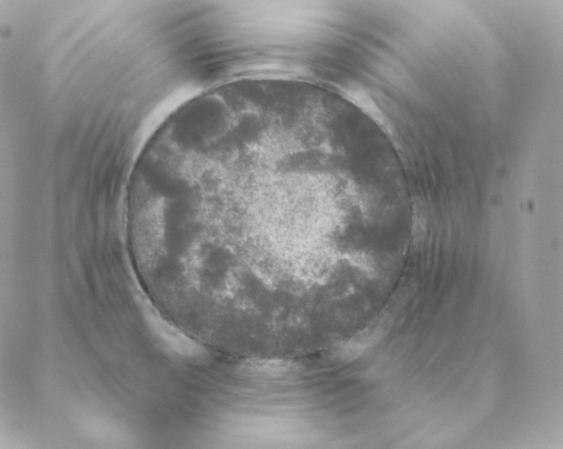X0000088571474200706151634