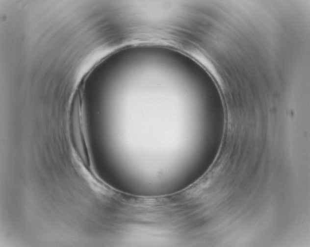 X0000088571485200706151634