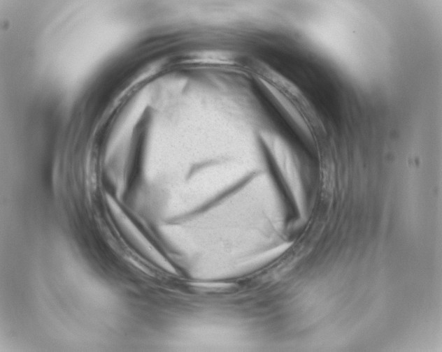 X0000088571487200706151634