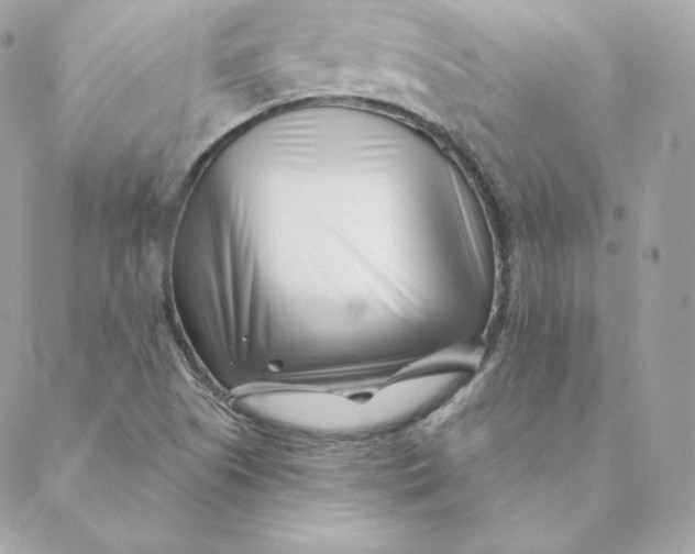 X0000088571505200706151633