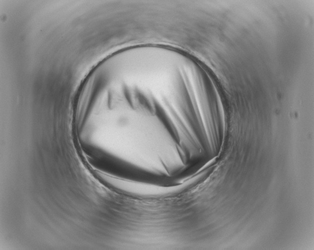 X0000088571508200706151633