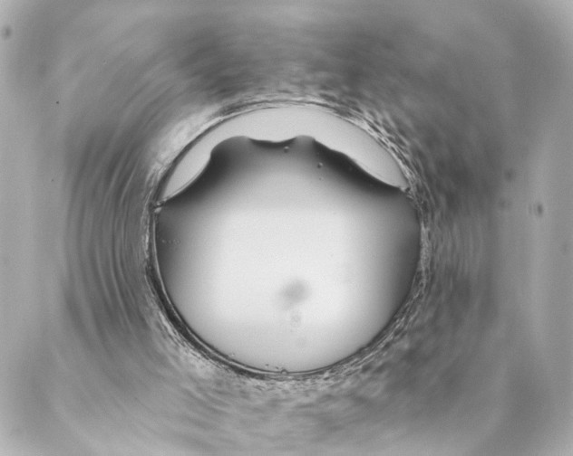 X0000088570005200706221303