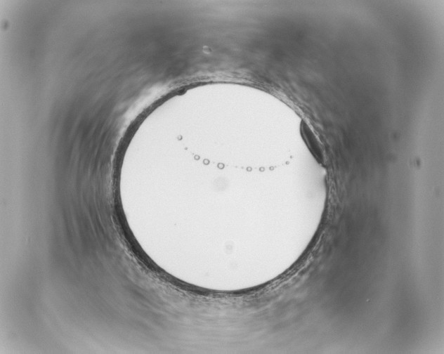 X0000088570008200706221303