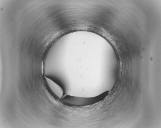 X0000088570013200706221303