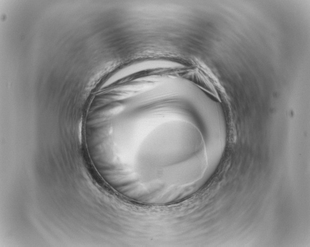 X0000088570019200706221302