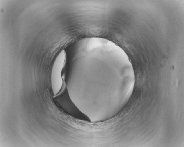 X0000088570027200706221302