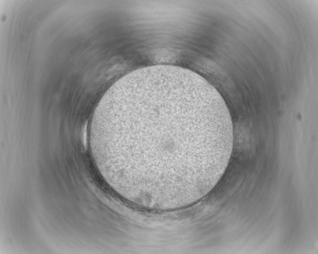 X0000088570028200706221302