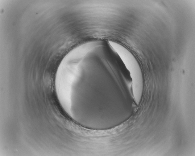 X0000088570031200706221302