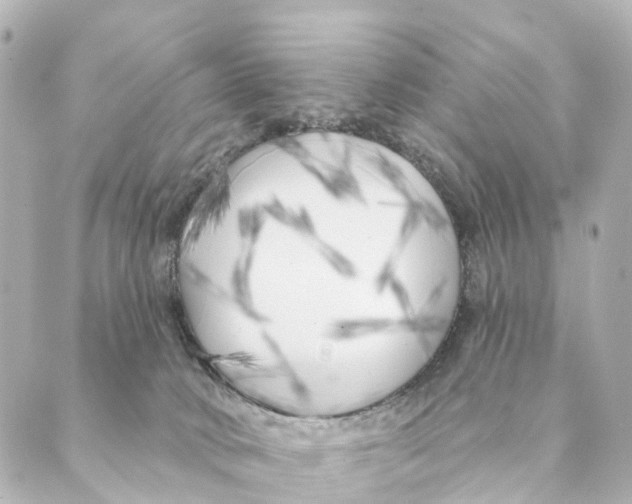 X0000088570034200706221302