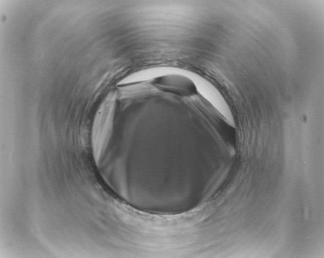 X0000088570035200706221302