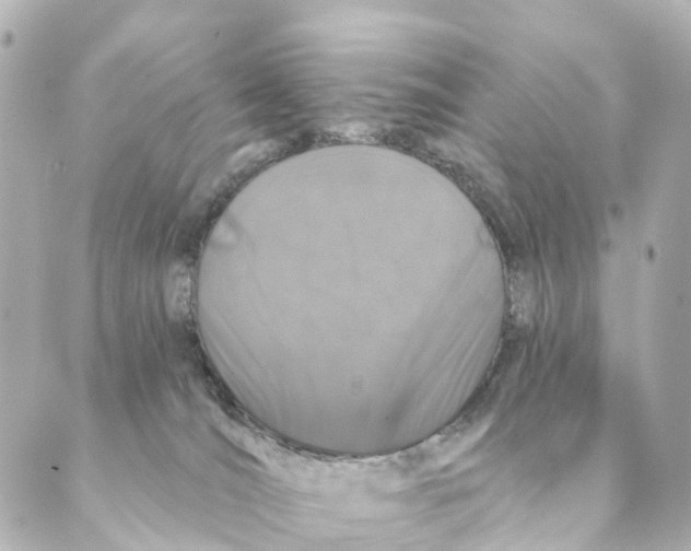X0000088570036200706221302