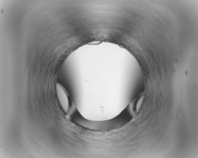 X0000088570037200706221302