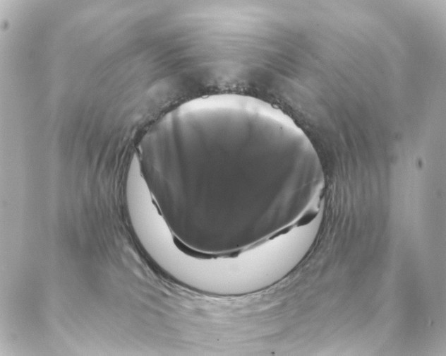 X0000088570039200706221302