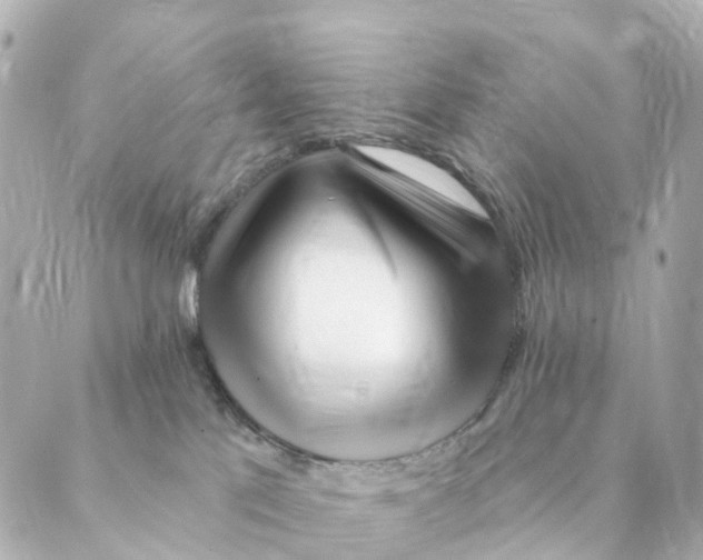 X0000088570041200706221302