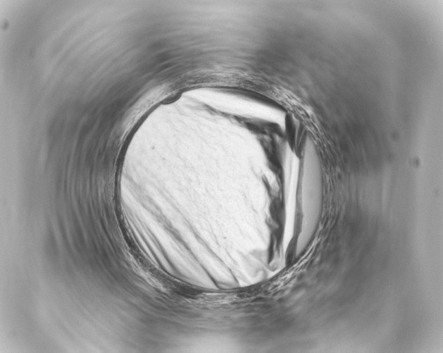 X0000088570051200706221301