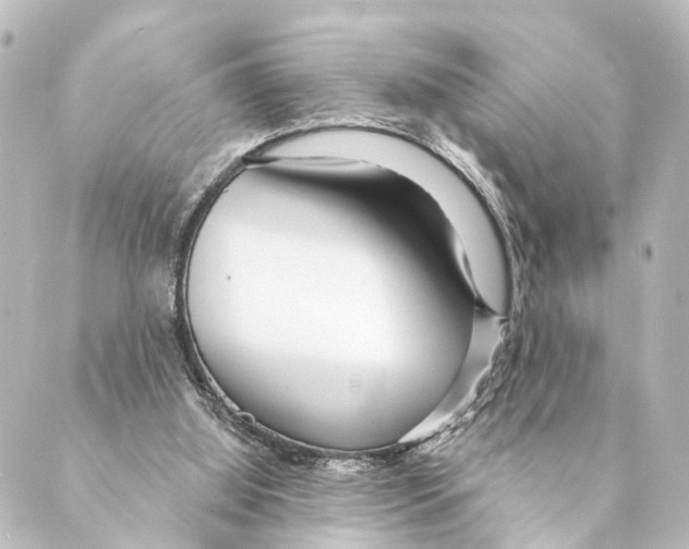 X0000088570060200706221301
