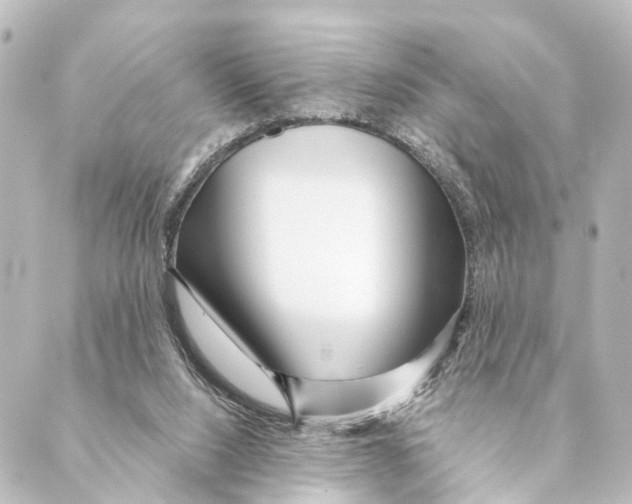 X0000088570064200706221301