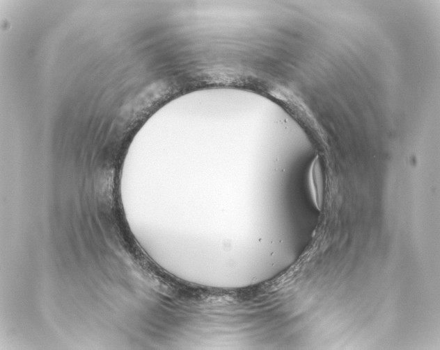 X0000088570066200706221301