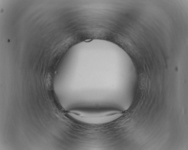 X0000088570077200706221302