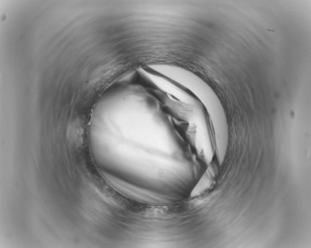 X0000088570080200706221302