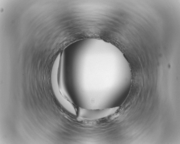 X0000088570084200706221302