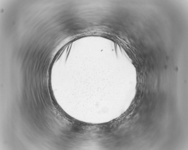 X0000088570100200706221301