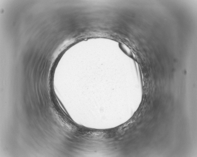 X0000088570104200706221301