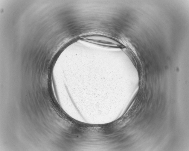 X0000088570108200706221301