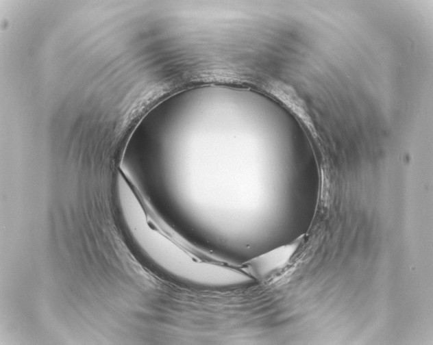 X0000088570109200706221301