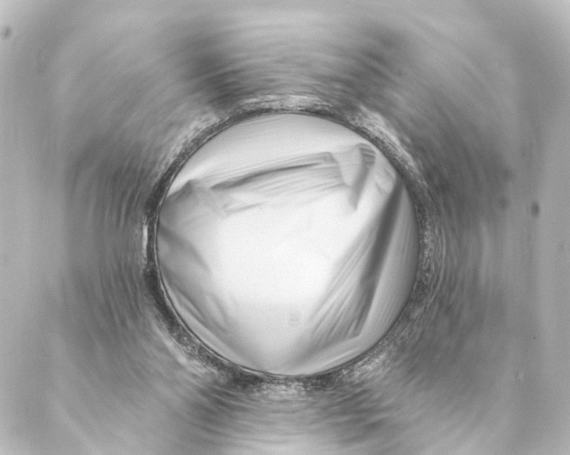 X0000088570110200706221301