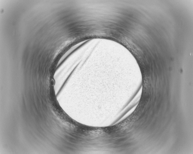 X0000088570112200706221301