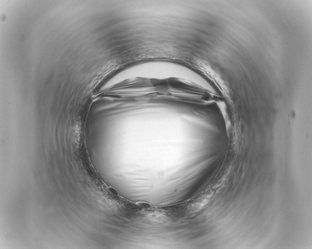 X0000088570113200706221301