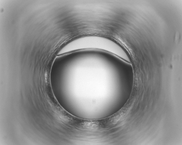 X0000088570117200706221301