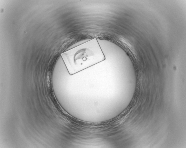 X0000088570121200706221301