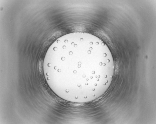 X0000088570122200706221301