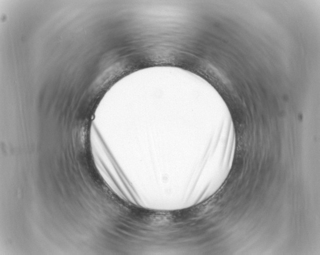 X0000088570124200706221301