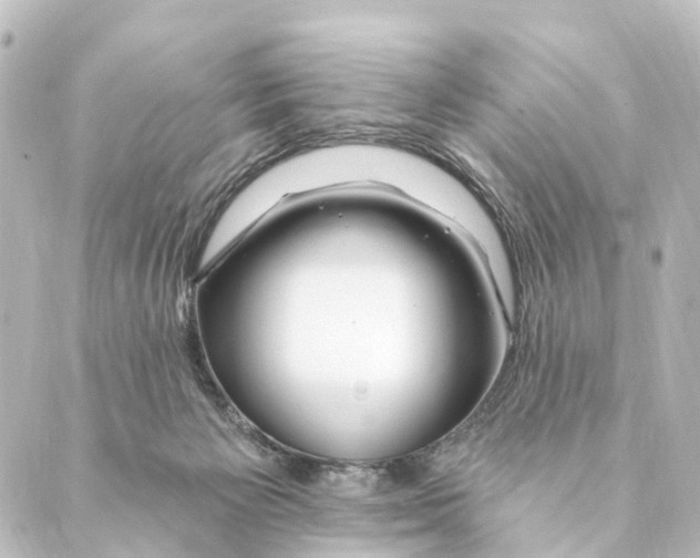 X0000088570125200706221301